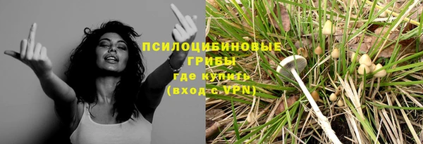трава Чита