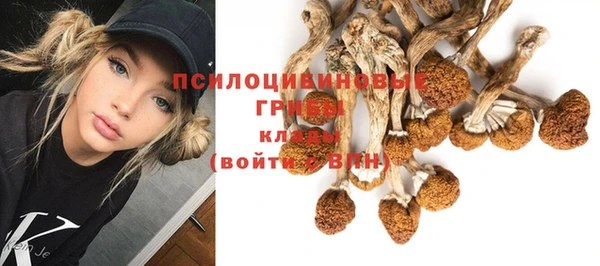 трава Чита