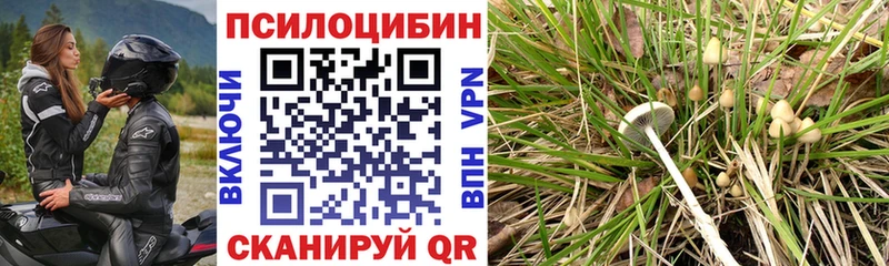 как найти закладки  Каменск-Уральский  shop формула  Галлюциногенные грибы GOLDEN TEACHER 