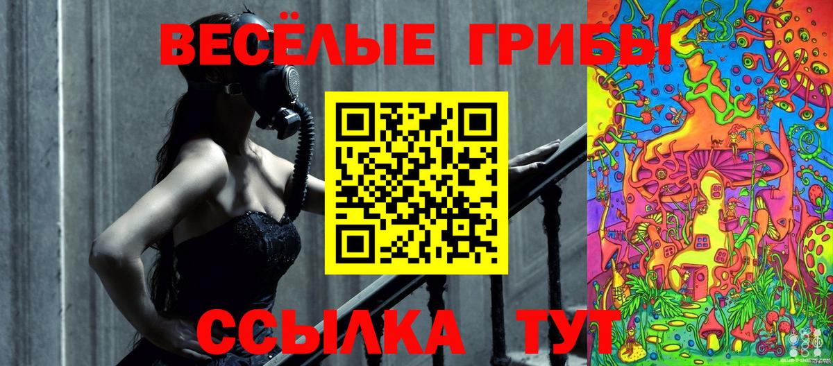 Галлюциногенные грибы Psilocybe Каменск-Уральский