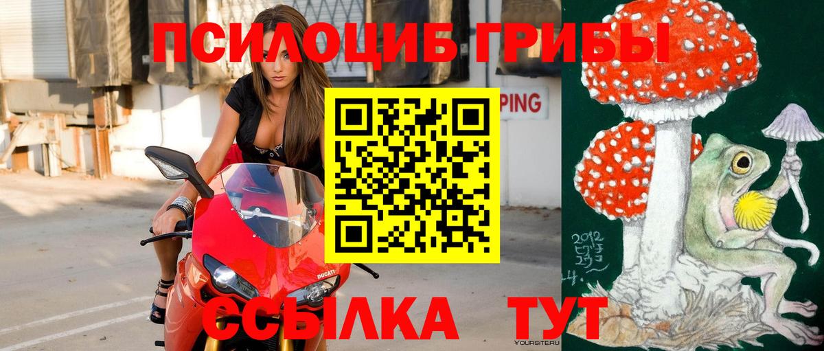 Псилоцибиновые грибы ЛСД  Вход с VPN  купить наркотики цена  Каменск-Уральский 
