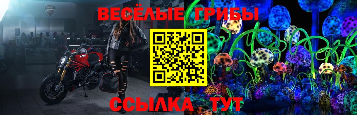 Галлюциногенные грибы Psilocybine cubensis  где купить   Каменск-Уральский  Галлюциногенные грибы Magic Shrooms 