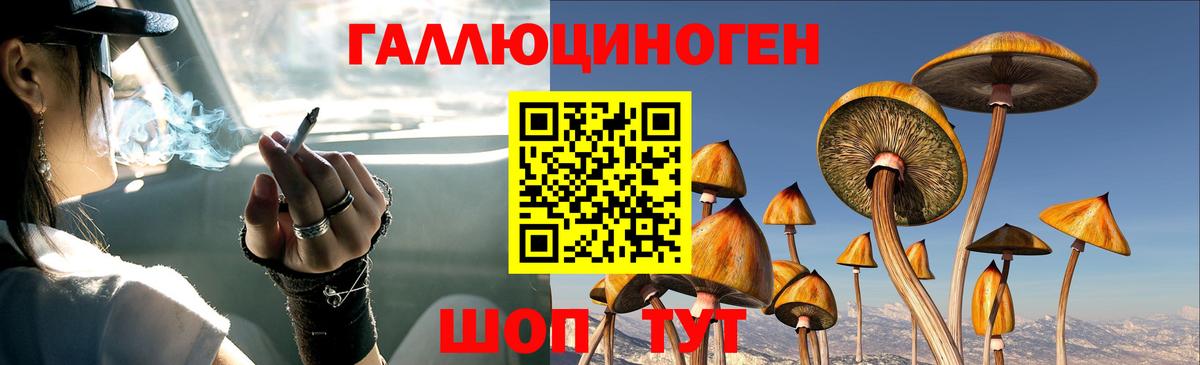 Псилоцибиновые грибы GOLDEN TEACHER Каменск-Уральский