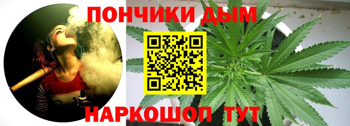 Каннабис сатива Каменск-Уральский